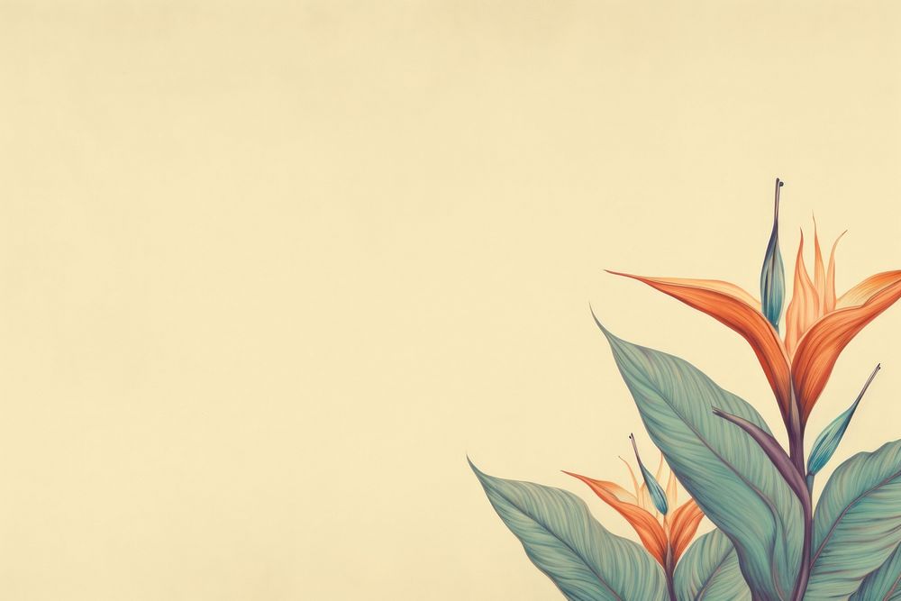 Realistic vintage drawing of bird of paradise border sketch backgrounds pattern.