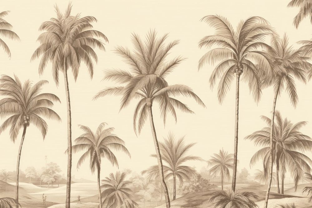 Realistic vintage drawing of coconut border sketch backgrounds outdoors.