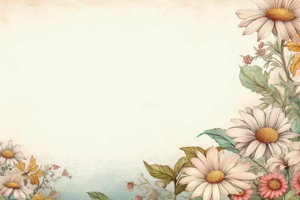 Realistic vintage drawing of daisy border backgrounds pattern flower.