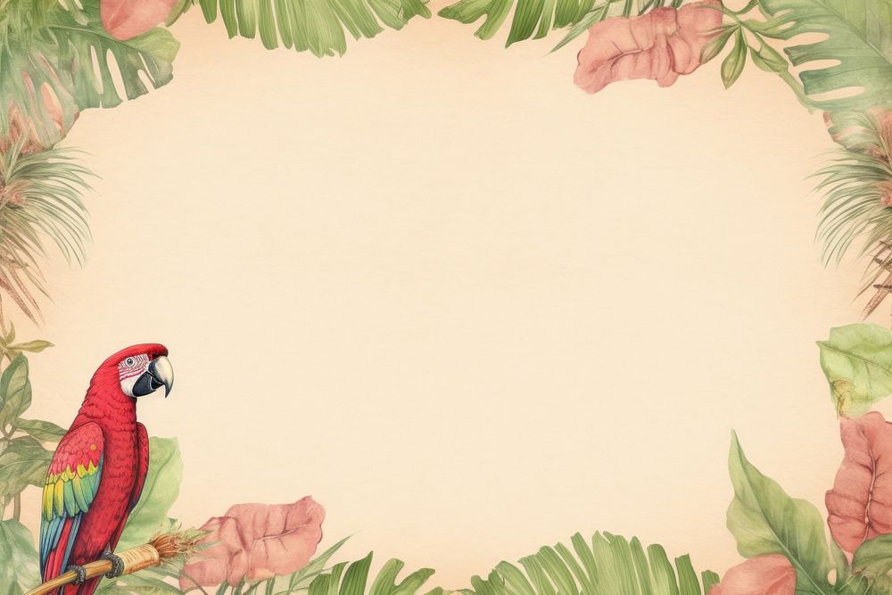 Realistic vintage drawing of parrot border backgrounds animal plant.