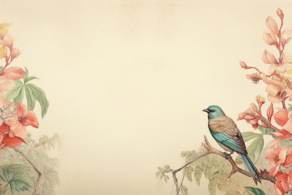 Realistic vintage drawing of Tropical bird border sketch painting animal.
