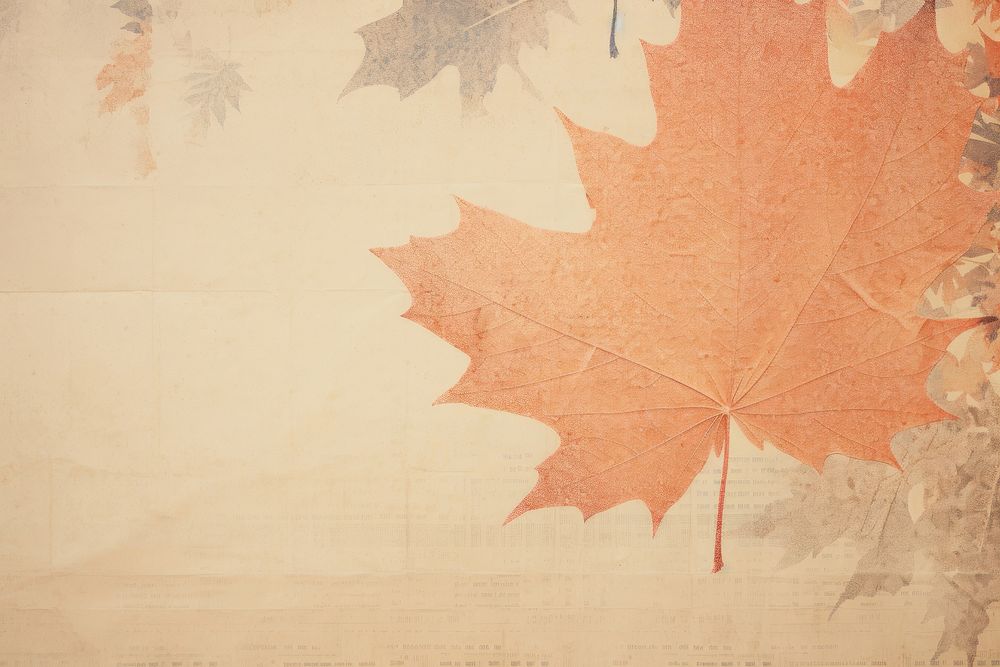 Maple leaf plant paper.