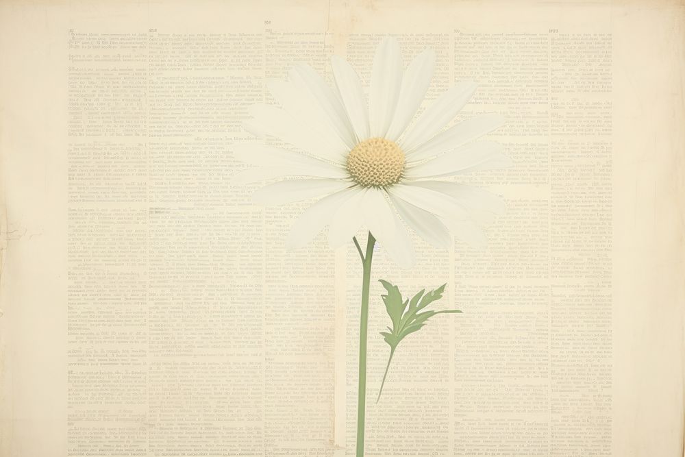 Paper of daisy flower plant page.