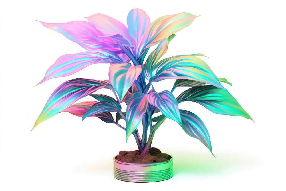 Plant iridescent leaf white background technology.