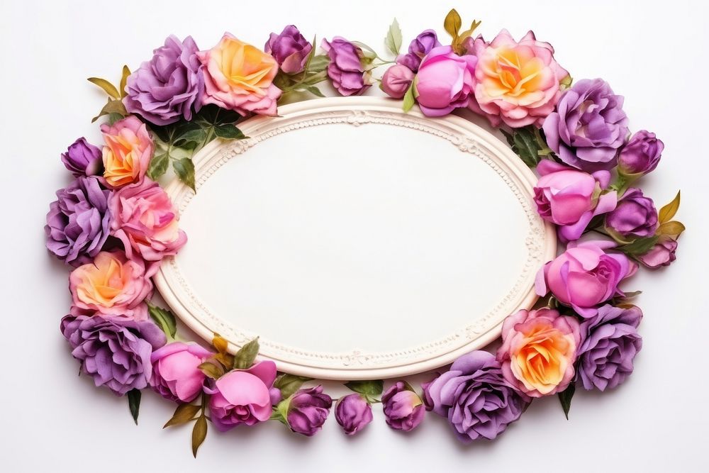 Photography frame floral colorfull roses flower nature petal.