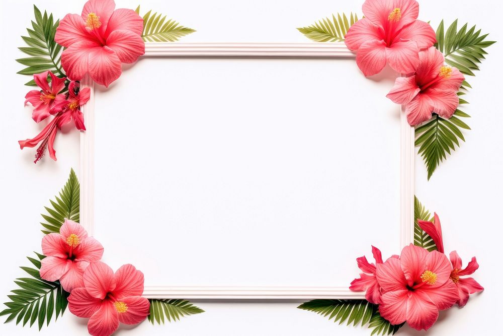 Floral frame hibiscus flower nature plant.