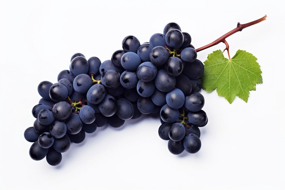 Black grape leaves grapes fruit.