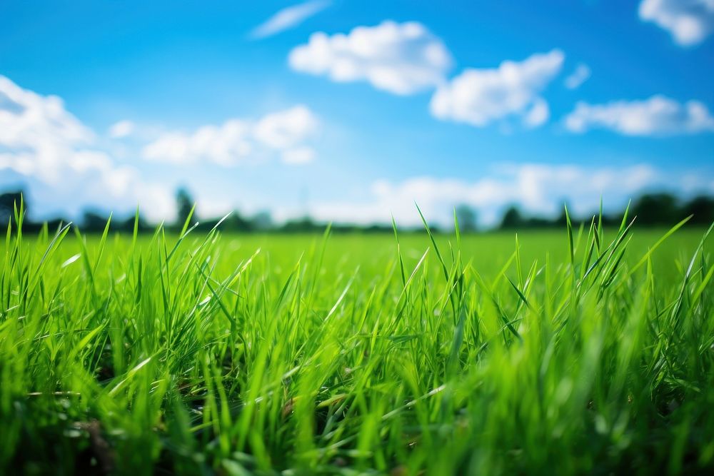  Grass field outdoors horizon nature. AI generated Image by rawpixel.