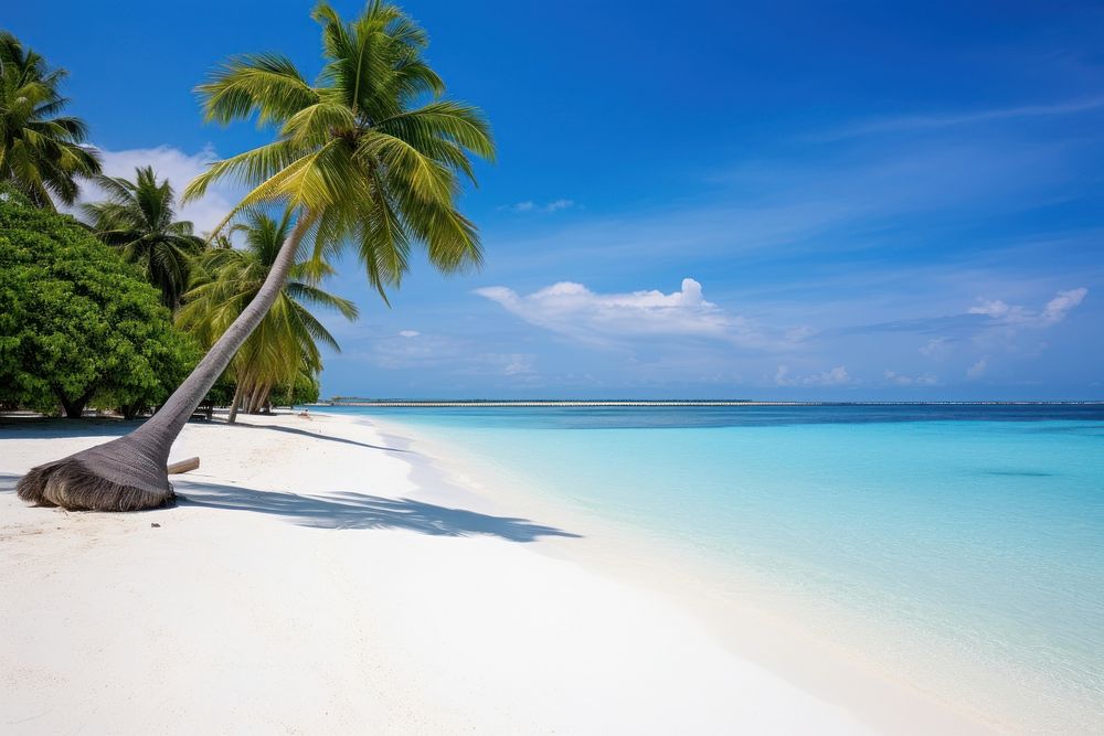  Maldive beach landscape outdoors nature. AI generated Image by rawpixel.