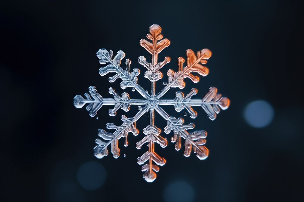  Snowflake celebration decoration christmas. AI generated Image by rawpixel.