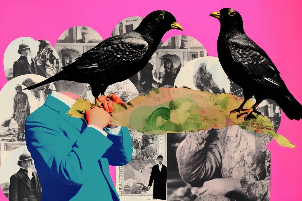Birds collage art blackbird.