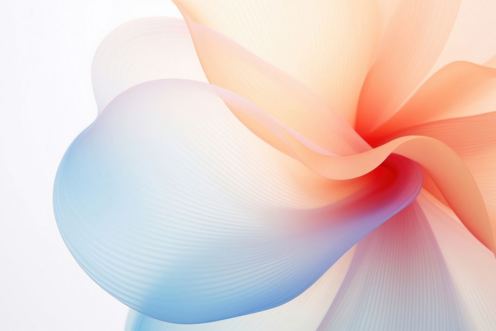 Blurred flower shape abstract petal backgrounds.
