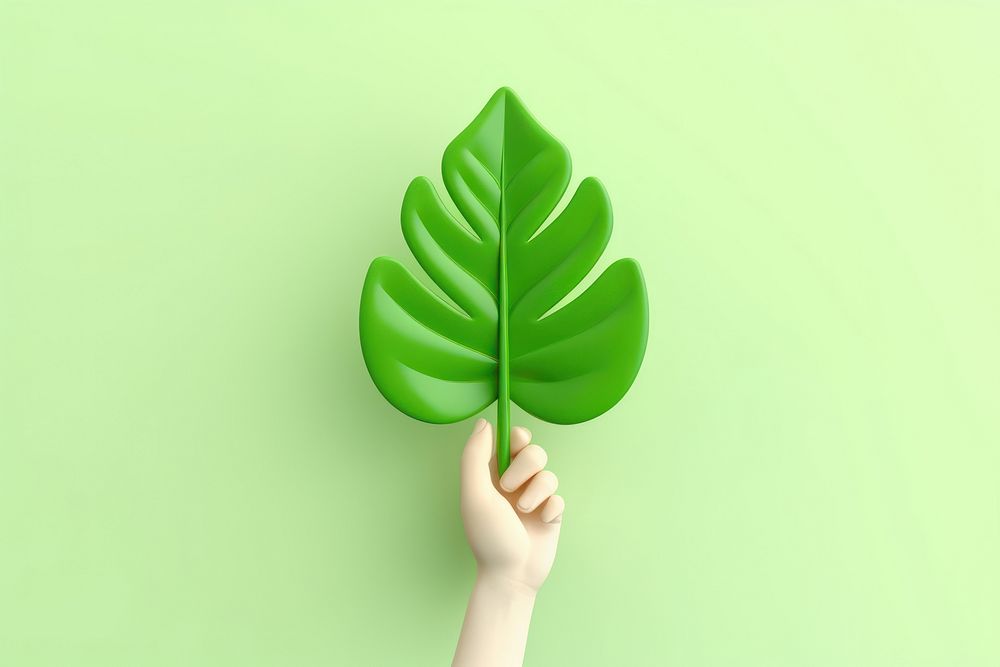 Hand holding leaf green plant freshness.