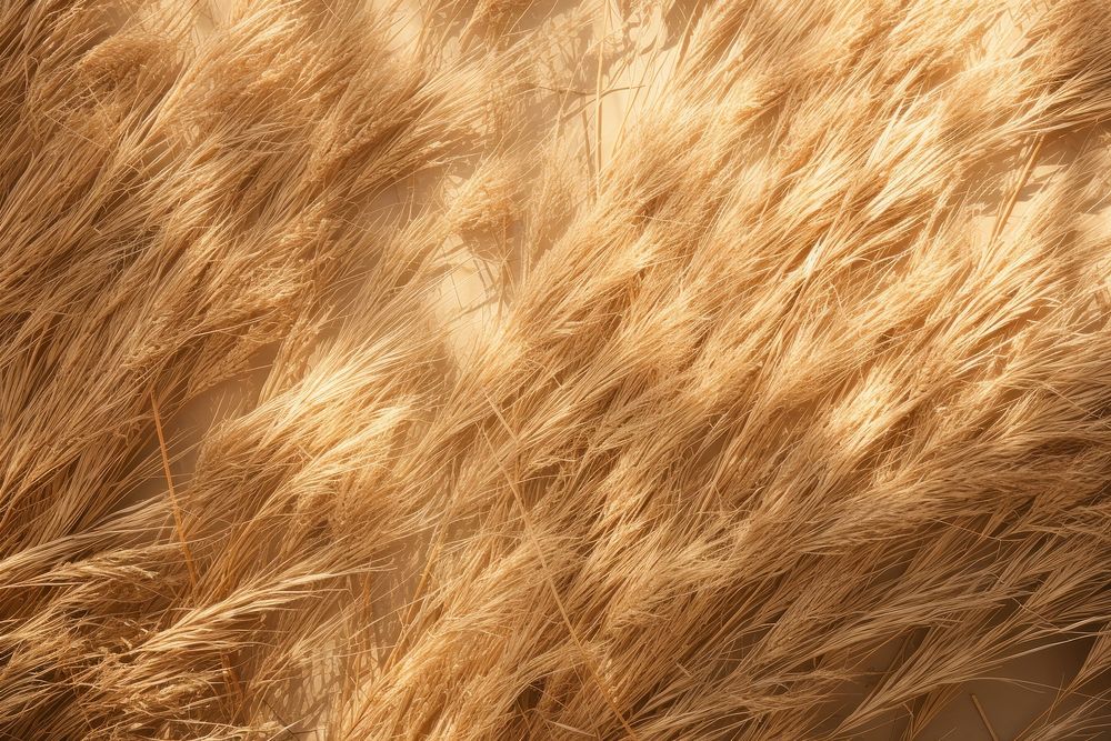  Dry grass texture agriculture outdoors nature. AI generated Image by rawpixel.