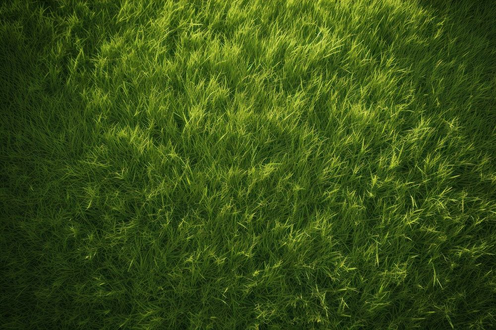  Green grass texture outdoors nature plant. AI generated Image by rawpixel.