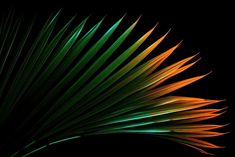 Green palm leaf light pattern nature. AI generated Image by rawpixel.