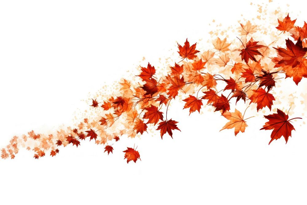 Maple leaves fall backgrounds plant leaf. AI generated Image by rawpixel.