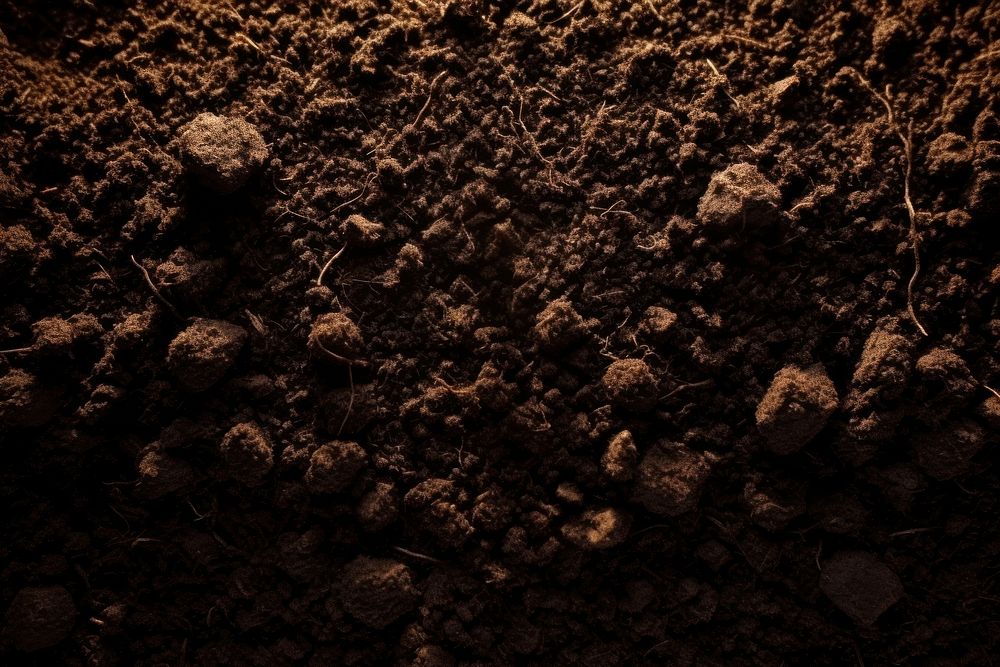  Soil nature black backgrounds. AI generated Image by rawpixel.