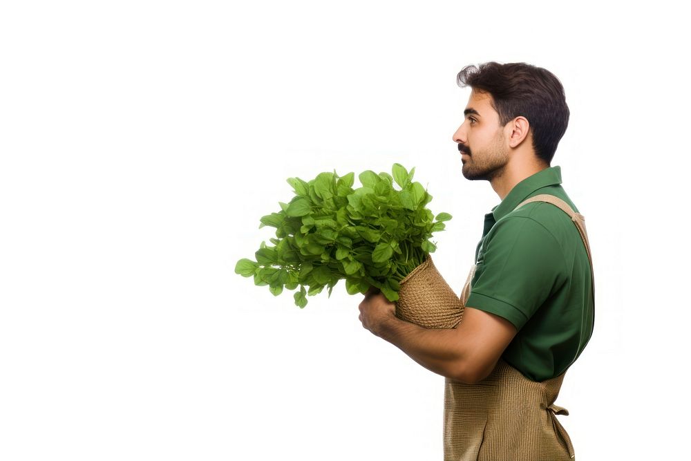 Gardener vegetable gardening adult. AI generated Image by rawpixel.