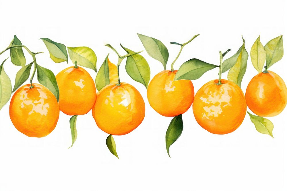 Tangerine border grapefruit plant food.