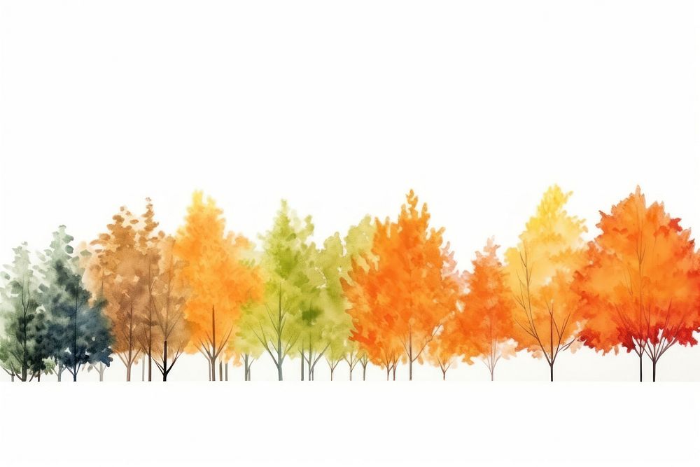 Autumn nature border backgrounds outdoors forest.