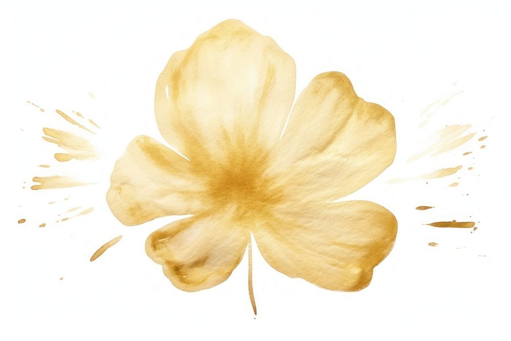 Blossom hibiscus blossom flower. AI generated Image by rawpixel.