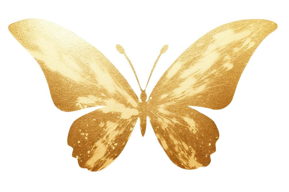 Butterfly animal insect petal. AI generated Image by rawpixel.