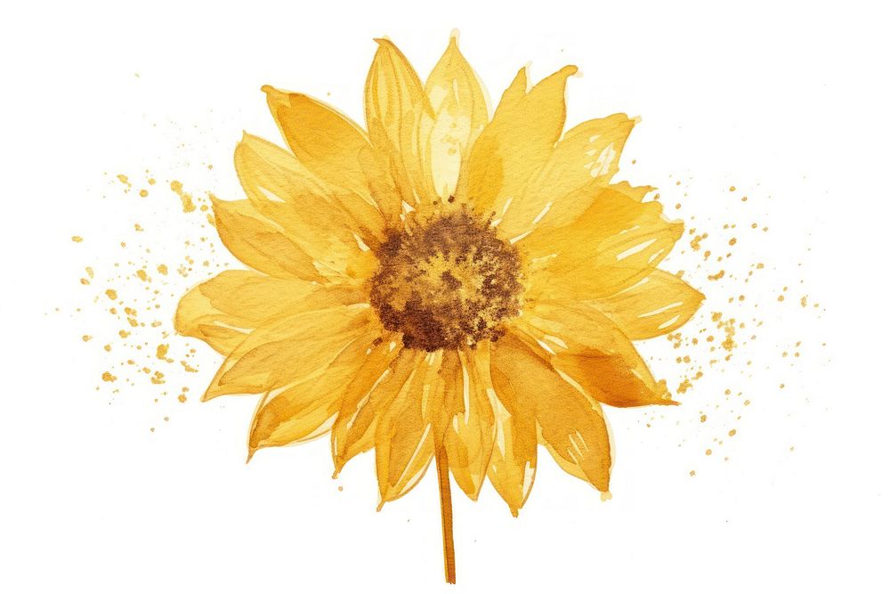 Sunflower plant gold white background. AI generated Image by rawpixel.