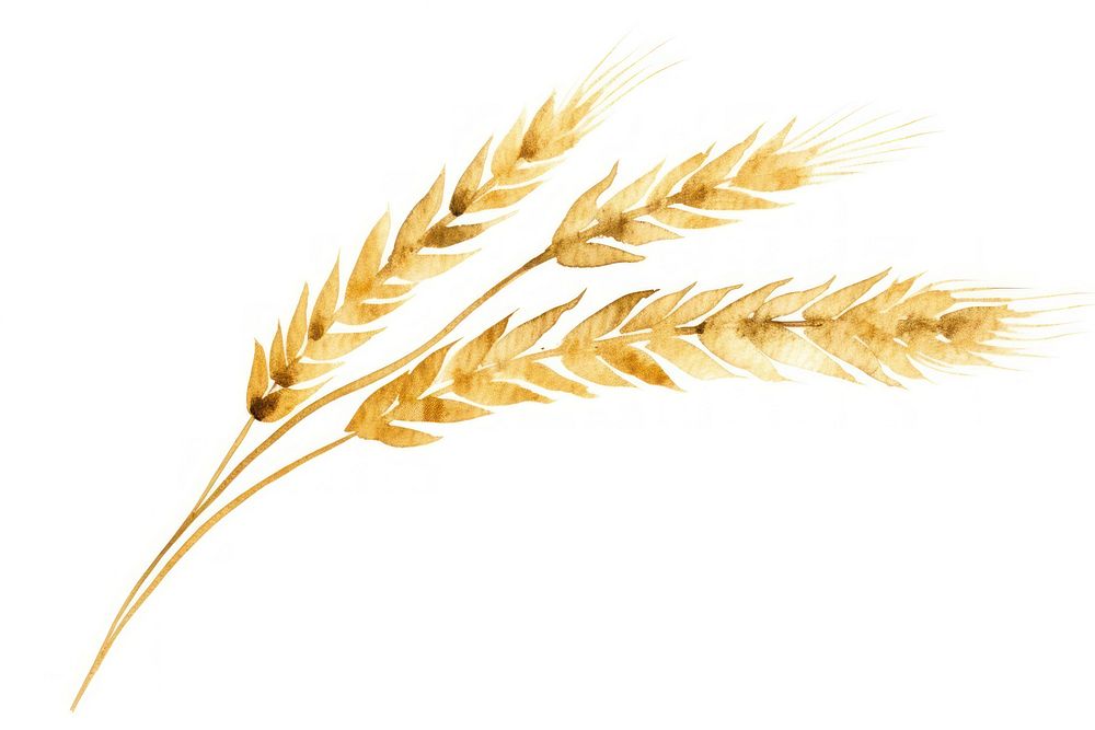 Wheat food gold white background. AI generated Image by rawpixel.