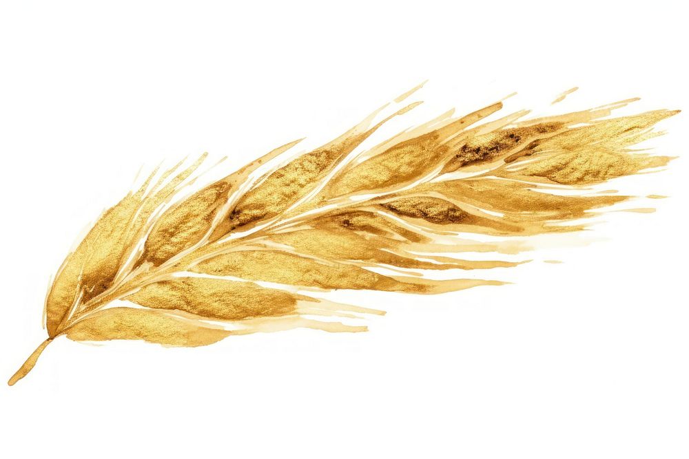 Wheat gold white background agriculture. AI generated Image by rawpixel.