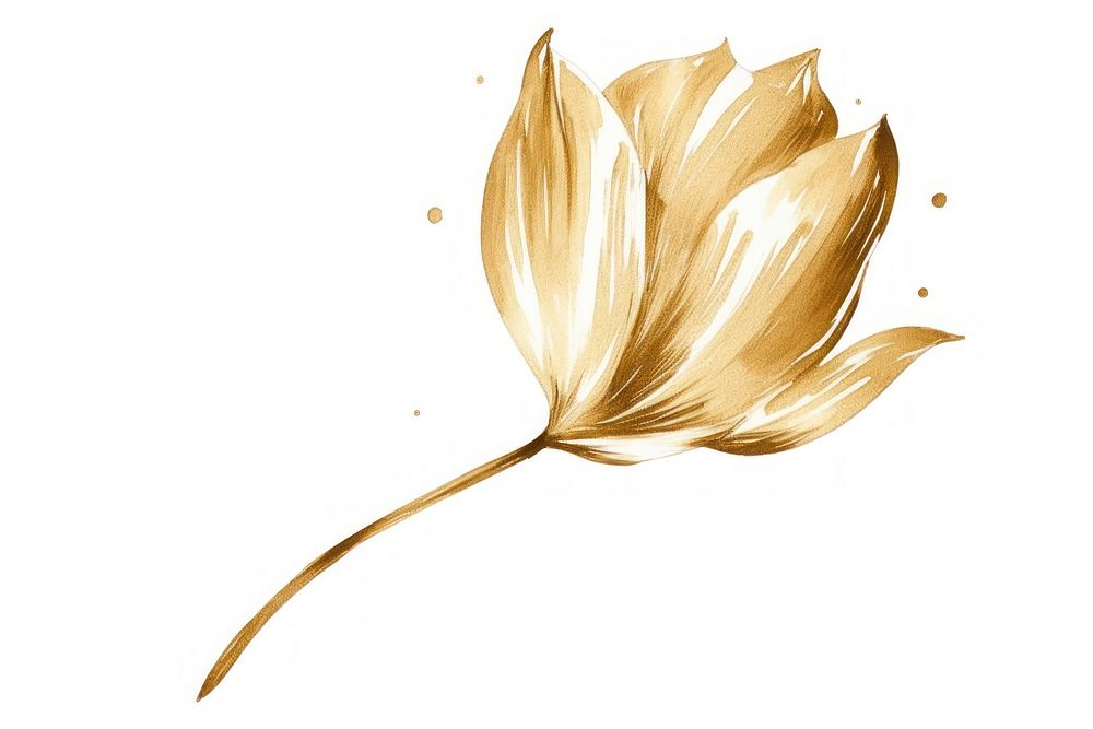Tulip flower petal leaf. AI generated Image by rawpixel.