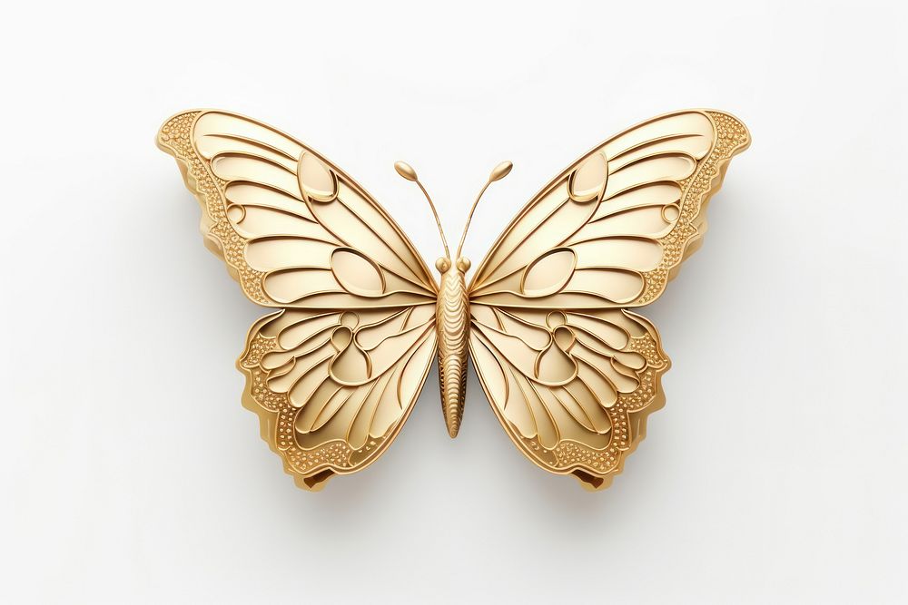 Butterfly animal insect gold.