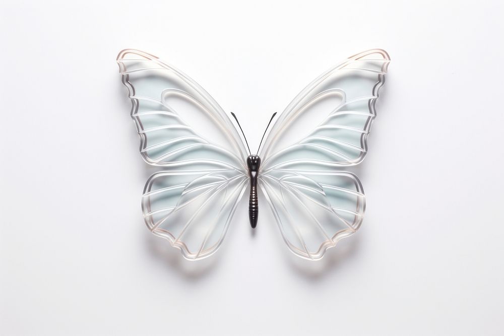 Transparent glass mini simple butterfly animal insect white.