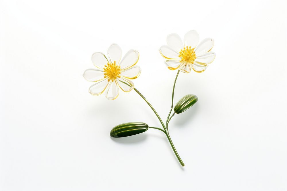 Transparent glass simple wildflower icon blossom petal plant.