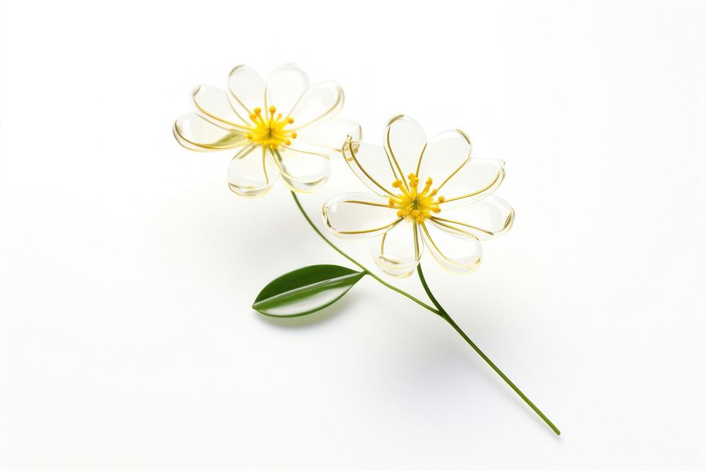 Transparent glass simple wildflower icon petal plant white.
