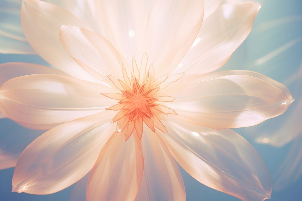  Flower backgrounds blossom petal. AI generated Image by rawpixel.