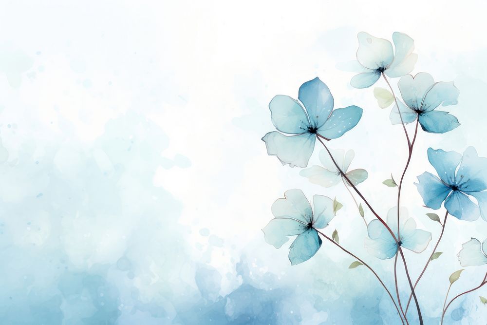 Flower light blue background flower | Free Photo Illustration - rawpixel
