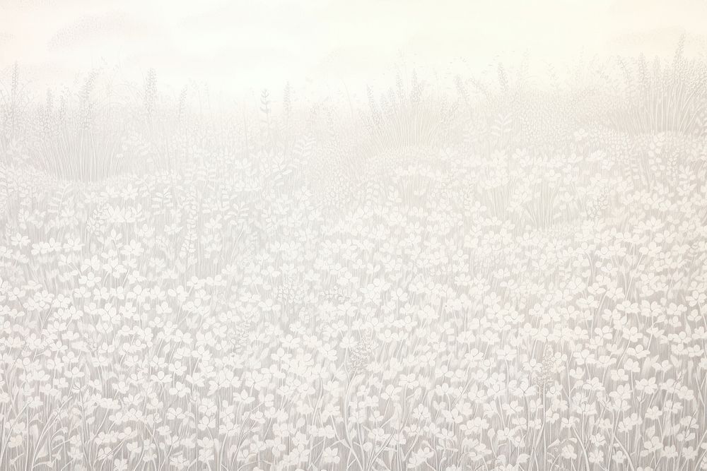  White colors field of flowers landscapes backgrounds outdoors nature. AI generated Image by rawpixel.