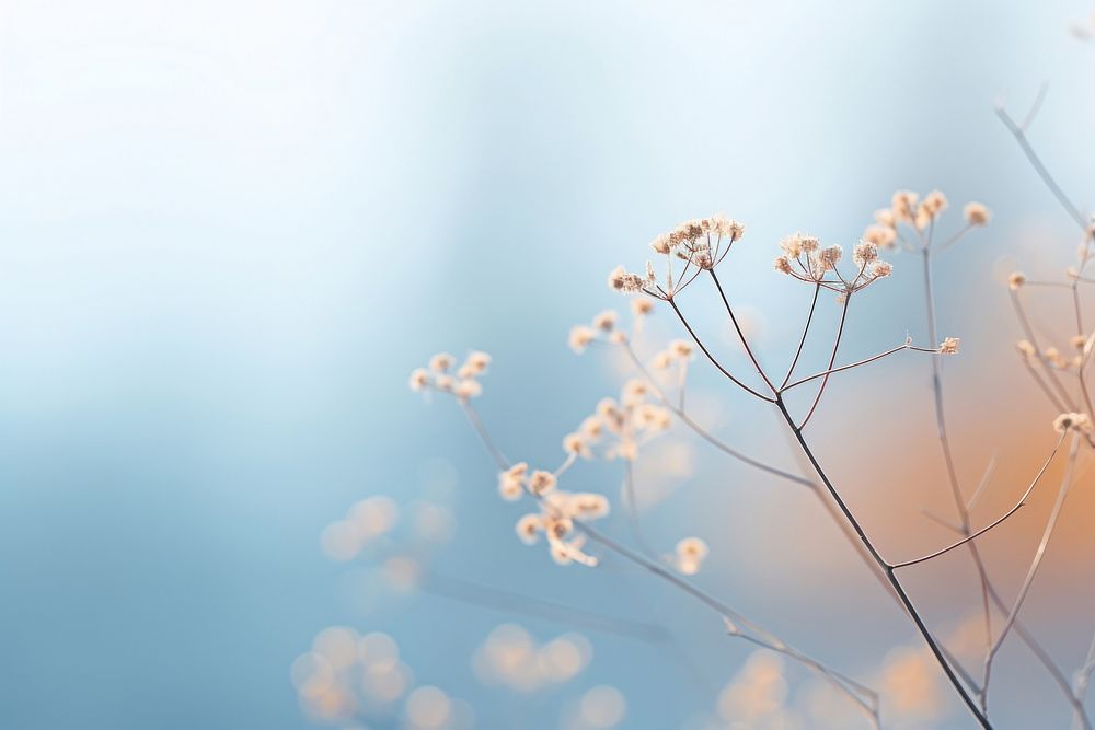  Winter bokeh flower outdoors nature. AI generated Image by rawpixel.