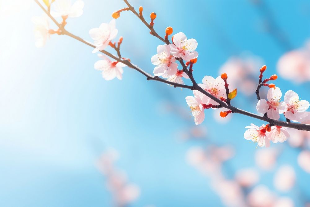  Floral spring blossom nature outdoors. AI generated Image by rawpixel.