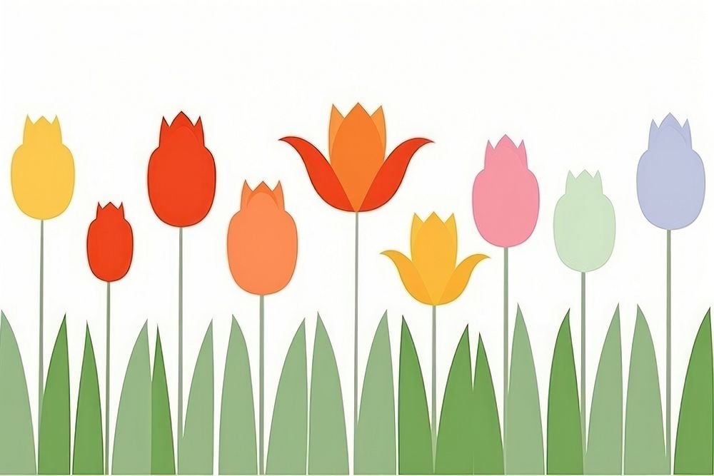Illustration of tulip border flower plant inflorescence.