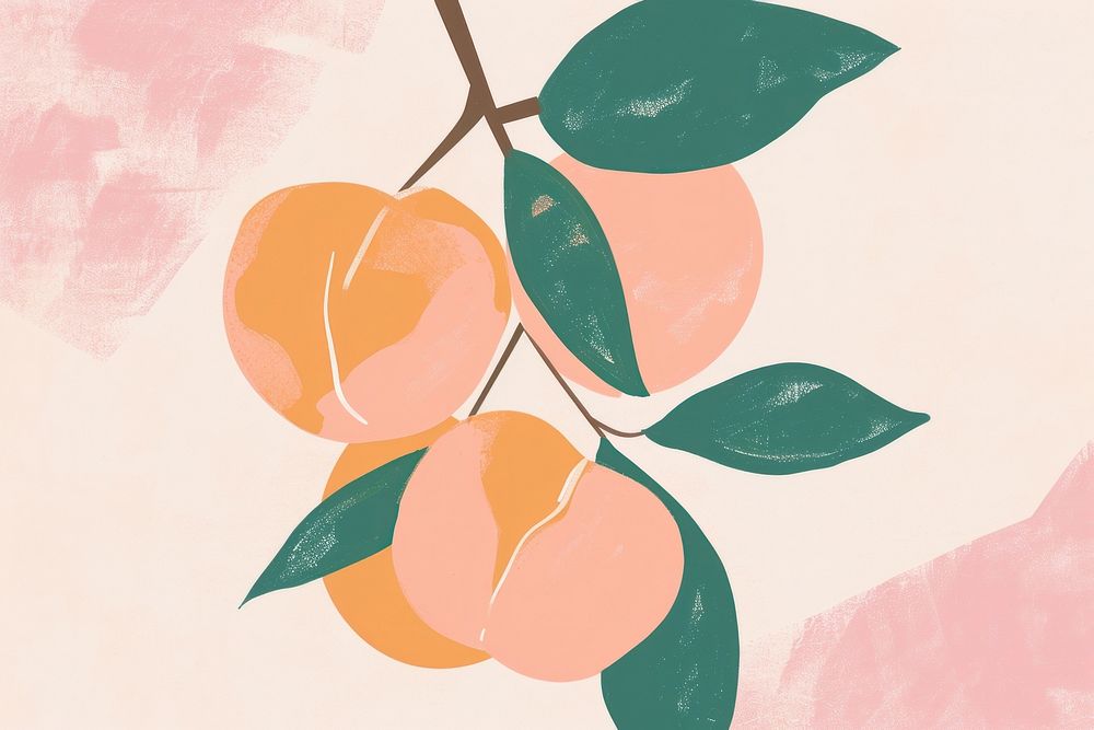 Cute peach illustration fruit plant leaf.
