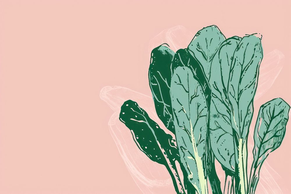 Cute spinach illustration vegetable plant food.