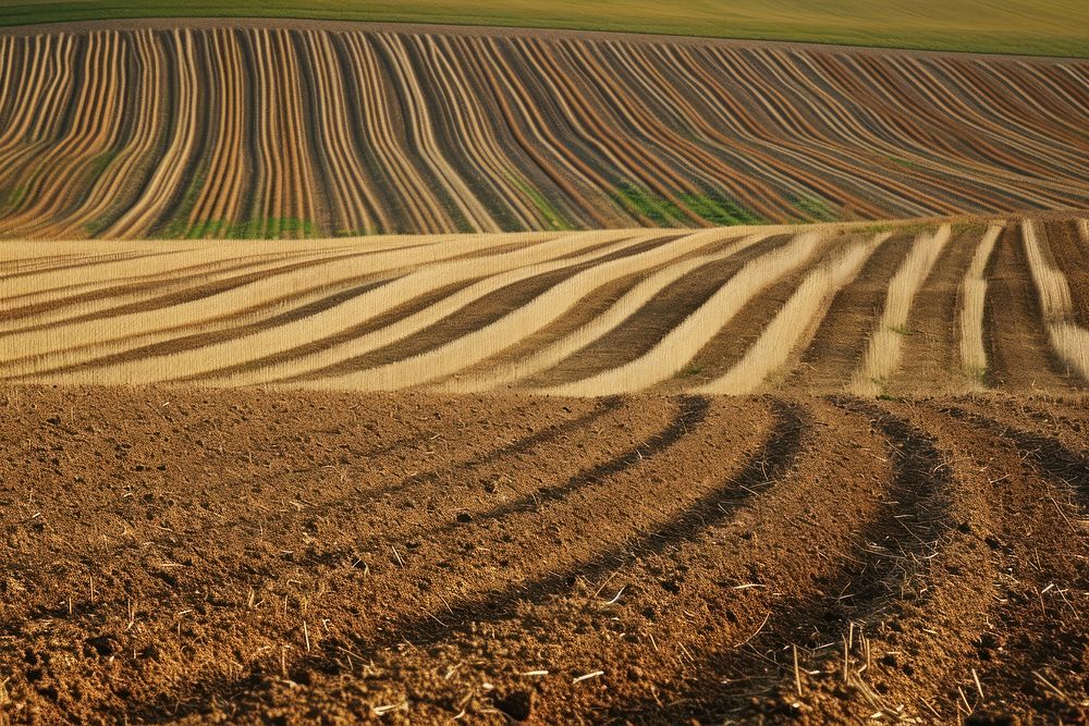 Agriculture field outdoors nature soil.