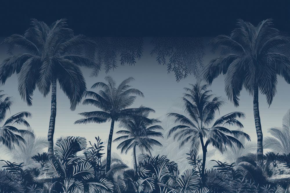 Stunning palm in black and navy color land landscape outdoors.