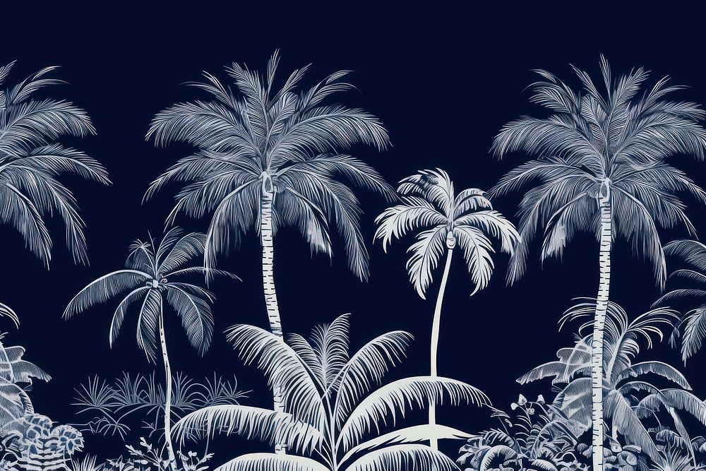 Stunning palm in black and navy color landscape outdoors nature.