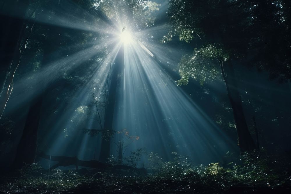 Light beam effect sunlight outdoors woodland.