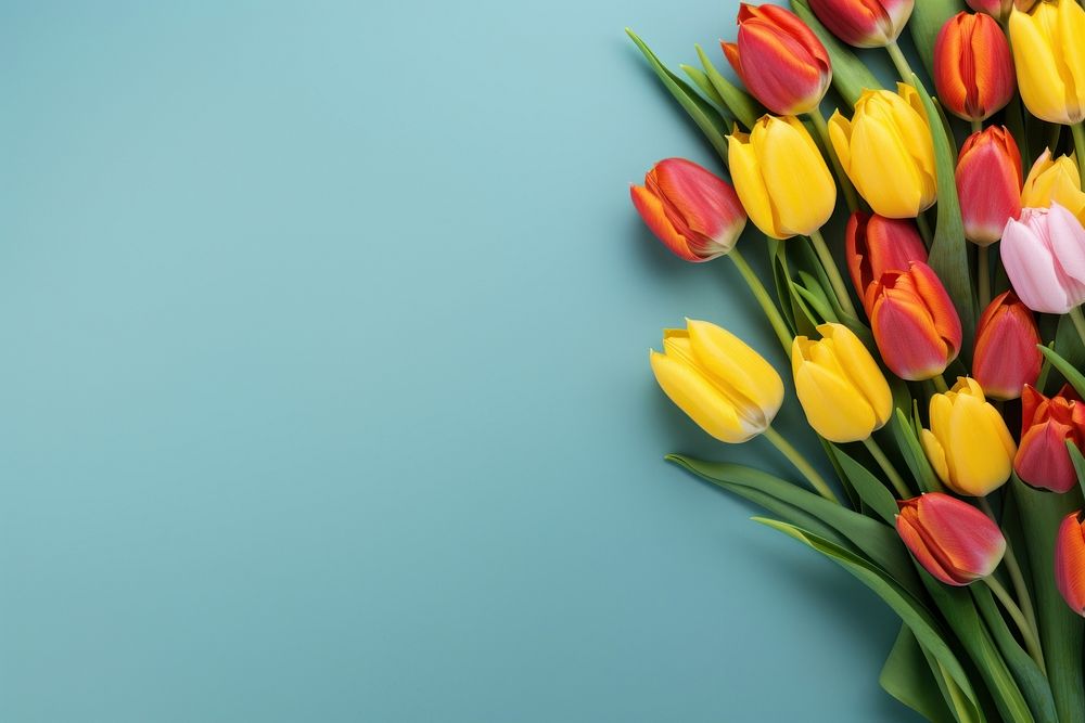  Bouquet of tulips flower petal plant. AI generated Image by rawpixel.