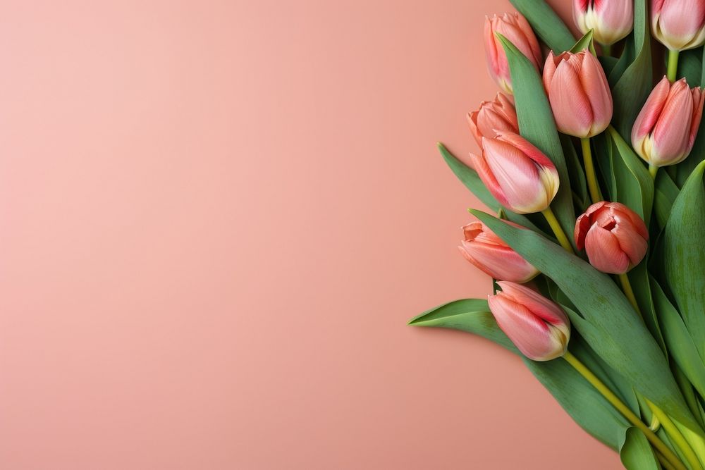  Bouquet of tulips flower petal plant. AI generated Image by rawpixel.
