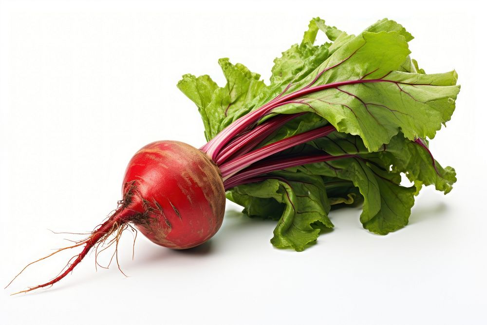 Vegetable radish plant food.